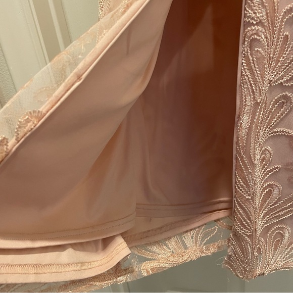 Gorgeous Blush Adrianna Papell Gown. Petite hemline. Mother of the Bride dress. - Picture 14 of 16